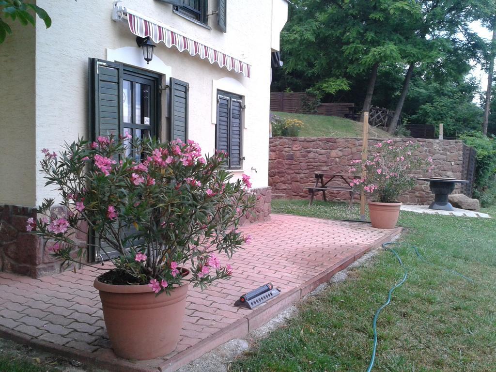 Hillside Apartments Ревфюлёп Номер фото
